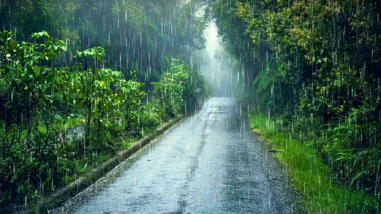 Fortes pluies sur une route bordée de végétation en Thaïlande pendant la saison de la mousson