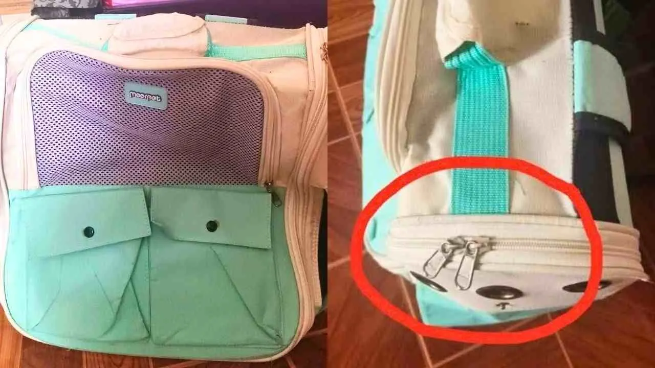 Sac de transport pour chat avec fermeture éclair ouverte, utilisé par la propriétaire de la chatte Si Som