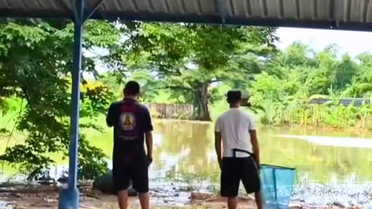 Secouristes inspectant les abords inondés du lycée Singsamut à Sattahip lors des recherches déclenchées par un faux signalement de crocodile
