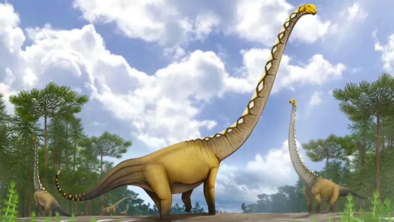 Thaïlande : découverte d&rsquo;un dinosaure géant de 20 m au cou exceptionnel