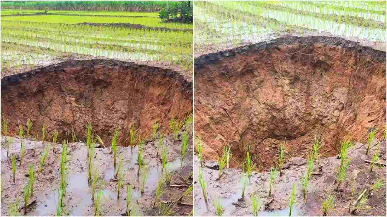 Deux des sept gouffres géants apparus au milieu de rizières dans une zone agricole de la province de Khon Kaen, en Thaïlande