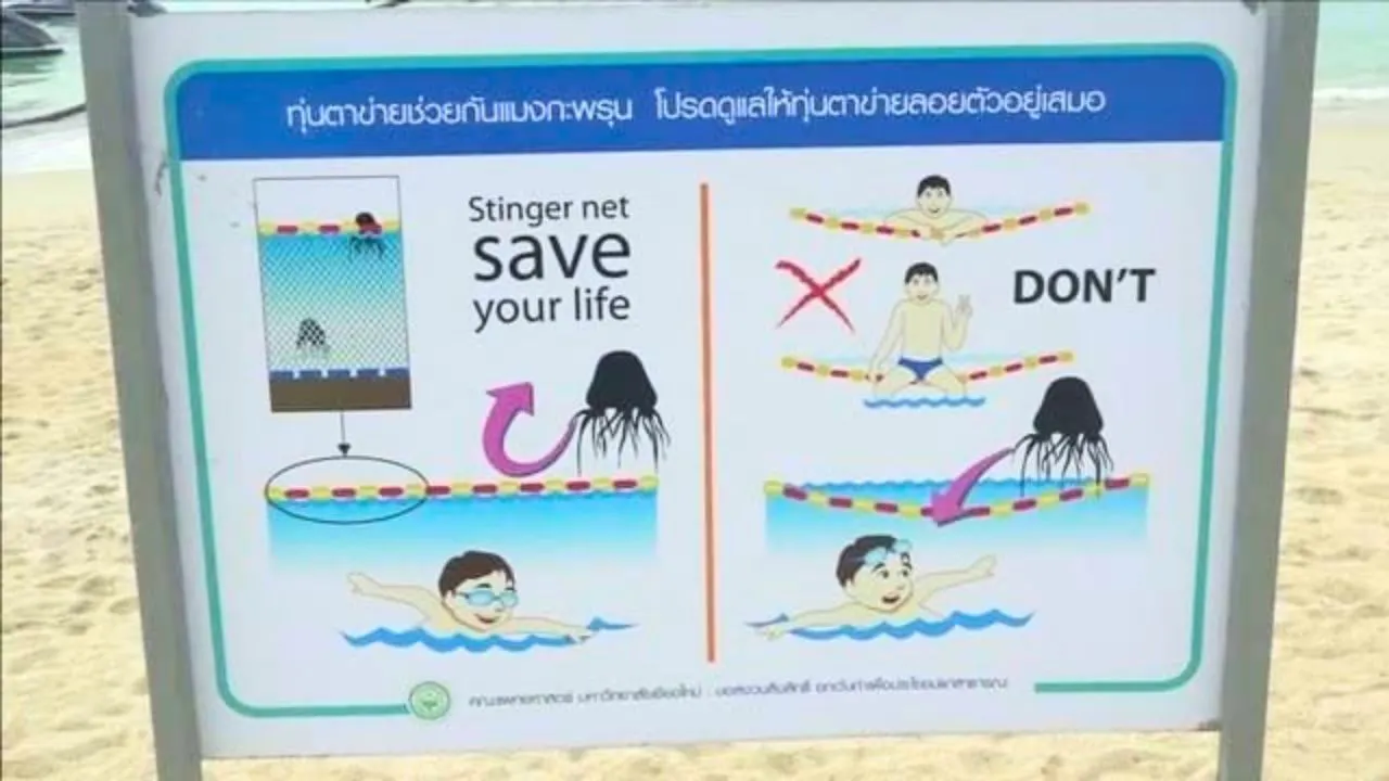 Panneau indiquant les consignes à suivre avec le filet anti-méduses sur une plage