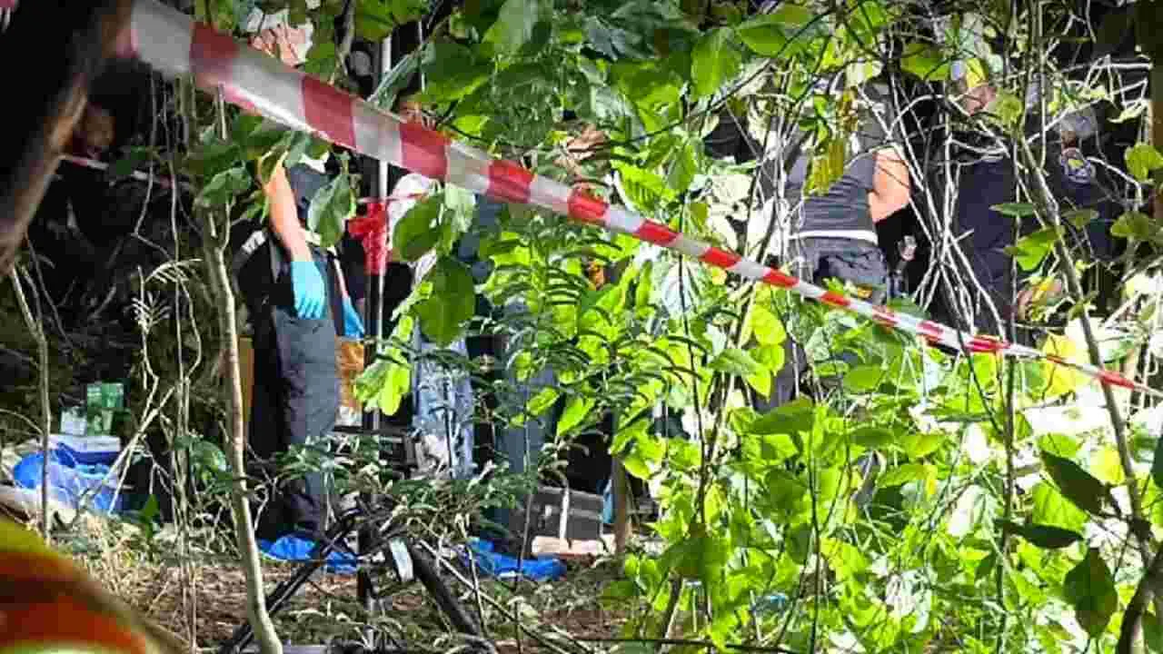 Des enquêteurs de la police scientifique inspectent la zone où plusieurs corps ont été découverts dans une forêt de Chonburi