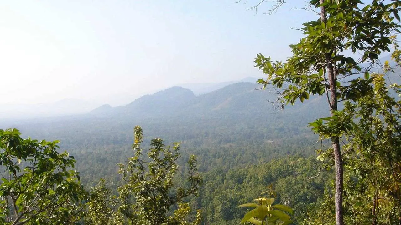 Vue panoramique de la réserve naturelle de Huai Kha Khaeng, dans l'ouest de la Thaïlande