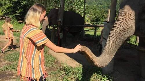 Forum Thaïlande 8 Coralie