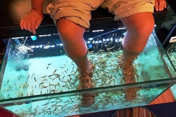 Fish pédicure en Thaïlande, une activité dangereuse ?