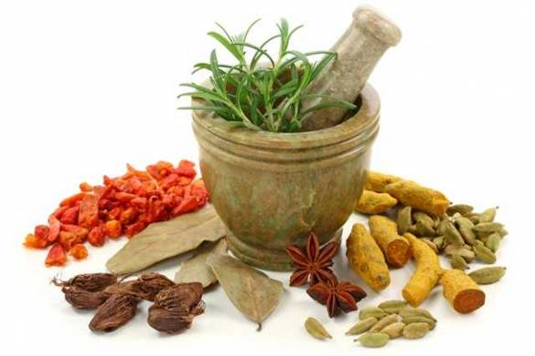 Les plantes médicinales en Thaïlande : noms thaï et propriétés